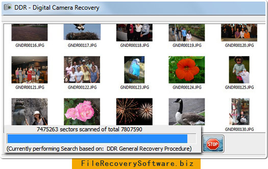 Digital camera file recovery software lost Data