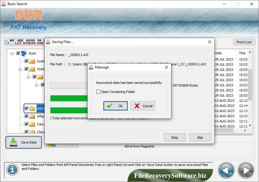 FAT File Recovery Software
