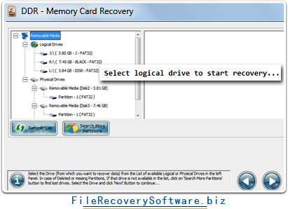 Memory card file recovery software