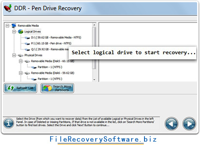 Pen drive file recovery software
